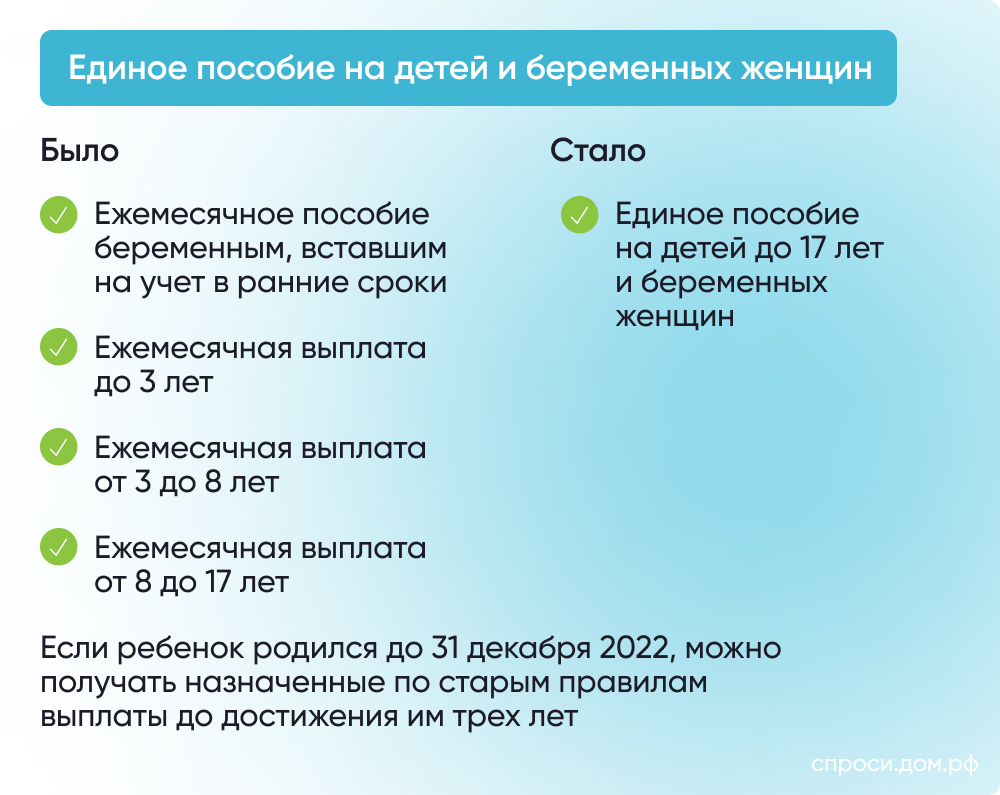 Какие выплаты могут получить беременные женщины и молодые матери в 2024  году – Инструкции на СПРОСИ.ДОМ.РФ